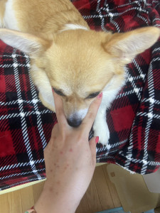 初回の写真
